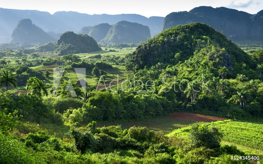 Picture of Landscape of valley of VinalesCuba